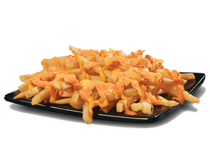 Mexican Cheesy Fries