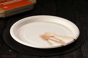 Paper Plate