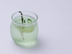 Cucumber Refresh