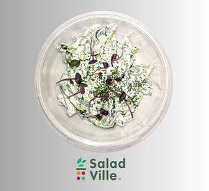 Cucumber & Herb Salad