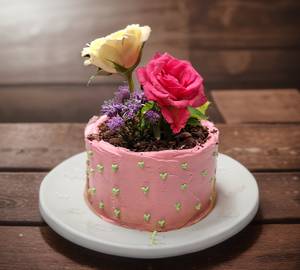 Flower Pot Theme Cake