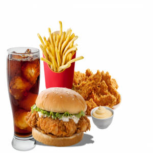 CRISPY BURGER & Tangdi COMBO