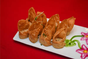 Chicken Fried Wonton