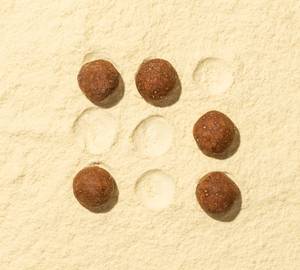 Sattu Laddoos (Gluten-free)