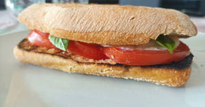 Russian Panninos Veg