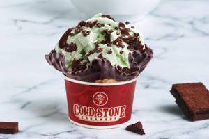 Mint Mint Chocolate Chocolate Chip Ice Cream