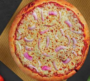 Onion cheese pizza