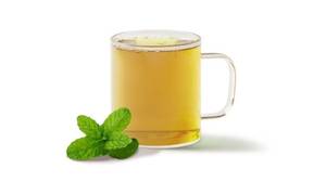 Moroccan Mint [Regular Hot]