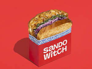 The Gochu Gang  (korean Chicken Sandwich)