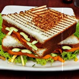 Paneer special