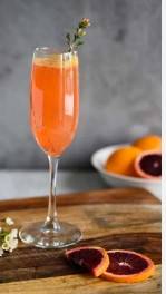Orange Mimosa