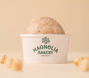 PRALINE HAZELNUT ICE CREAM