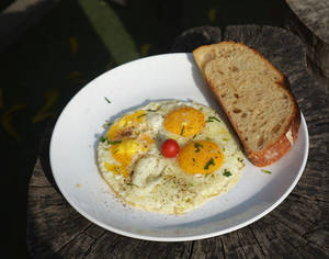 Sunny Side Up