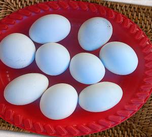 Boiled egg