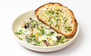 Alfredo Eggs
