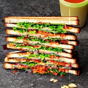 Non Veg Jungle Book Sandwich