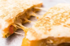 Cheese Quesadilla