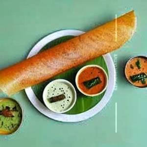 Mysore sada dosa