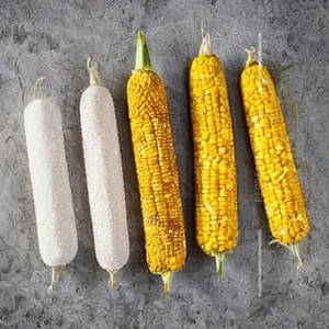 Corn Salt & Pepper
