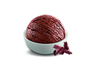 Rich Chocolate Ice Cream Scoop (150 Ml)
