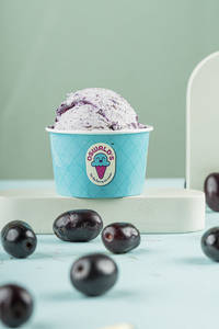 Sugar Free Jammun Berry [os]