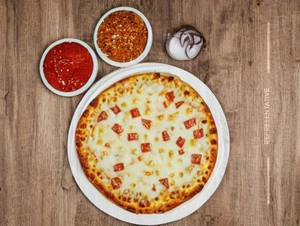 Onion Cheese PIzzza