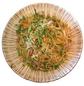 Wok-tossed Hakka Noodles