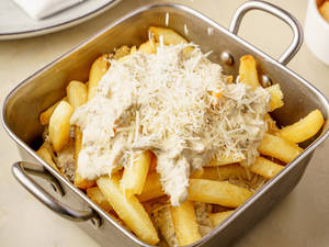 Parmesan Alfredo Fries