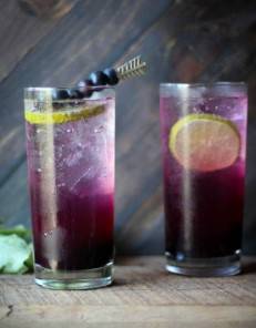 Blueberry Fizz