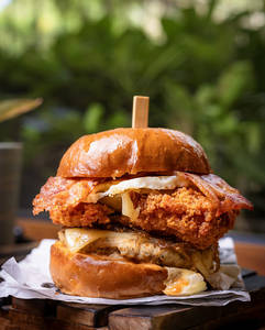 Flippin Special Burger