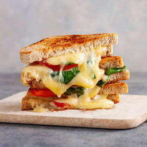 Cheese Sandwich