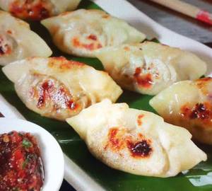 Chicken Pan Fried Momos [6 Pieces]