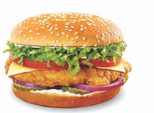 Chicken Burger Regular