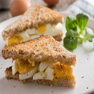 Egg Salad Sandwich