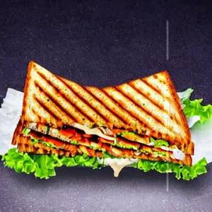 Garden special cheese paneer tikka mayo sandwich