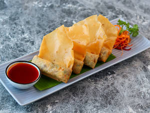 Crispy Vegetable Wonton