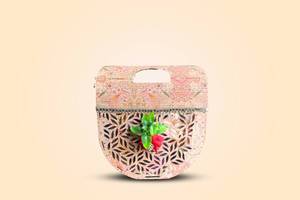 Soft Drinks And Cookies Hamper