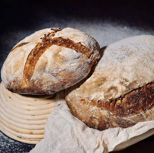 Sourdough Bread Loaf