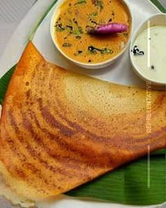Cheese Mysore Sada Dosa Oil