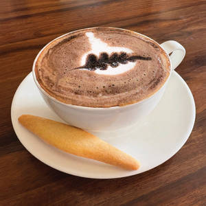 Cocoa Mocha