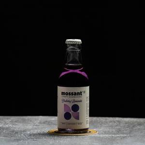 Blueberry Kombucha