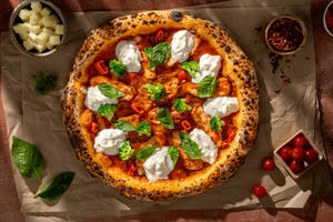 Italian Pizza Marinara with Grilled Chicken & Burrata Cheese