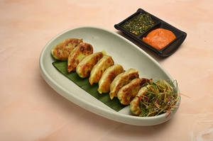 Veg Pan Fried Dumpling