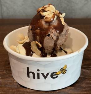 Marbled Brownie Hive