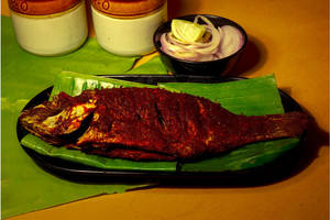 Chemballi (red Snapper) Fry