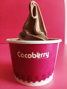 Chocolate Frozen Yogurt (without Toppings)