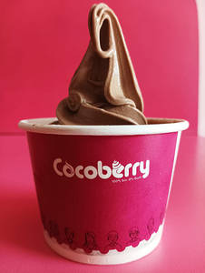 Chocolate Frozen Yogurt (with Toppings)