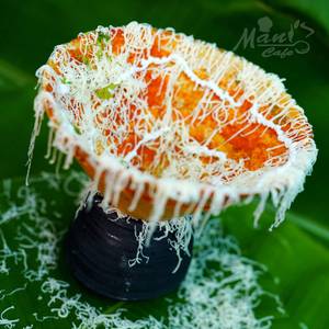 Jain Matka Dosa