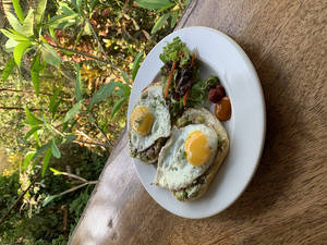 Avocado And Egg Open Sandwich