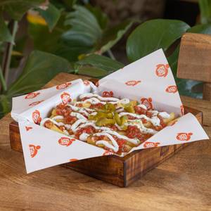 Salsa Fries